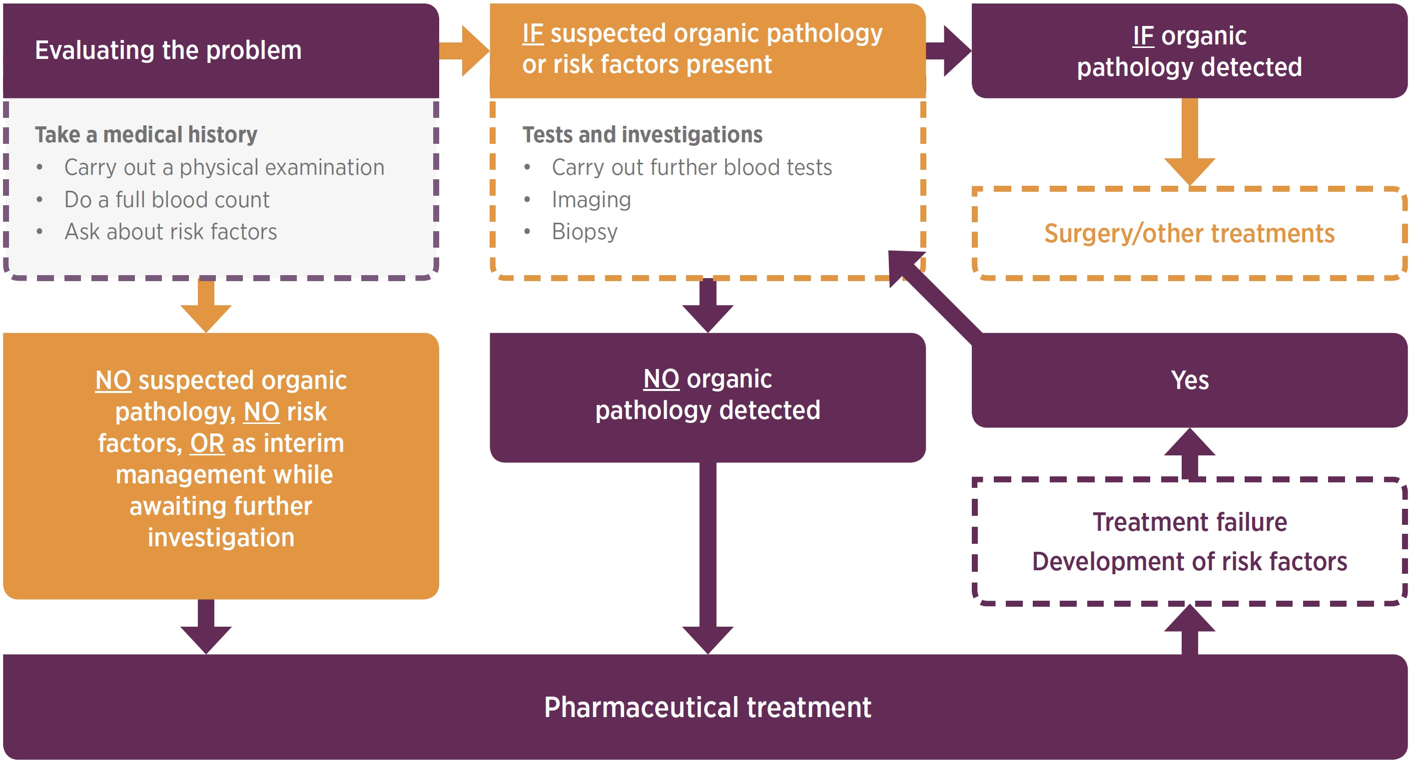 diagnostic pathway for HMB